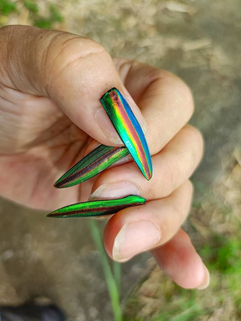 爪に当てるとより“ネイルチップ”らしさが