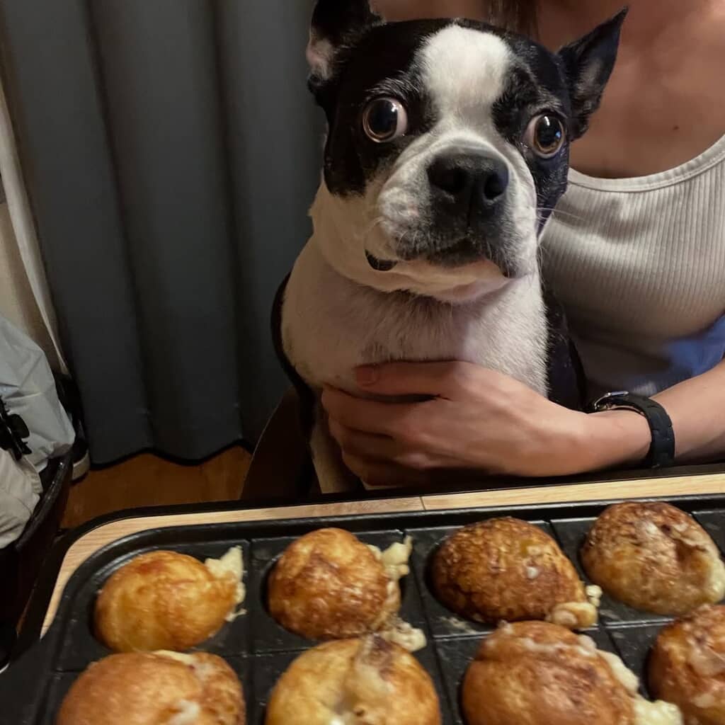 たこ焼きを前にするマルタくん