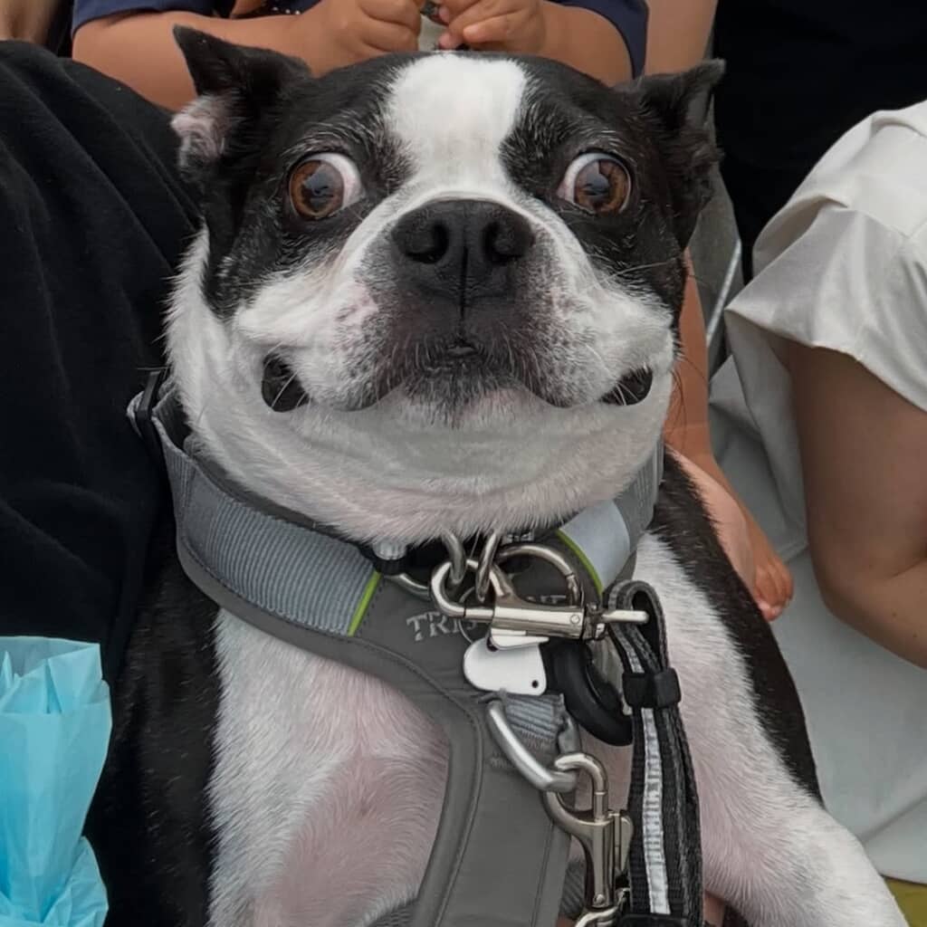 集合写真で盛れないマルタくん