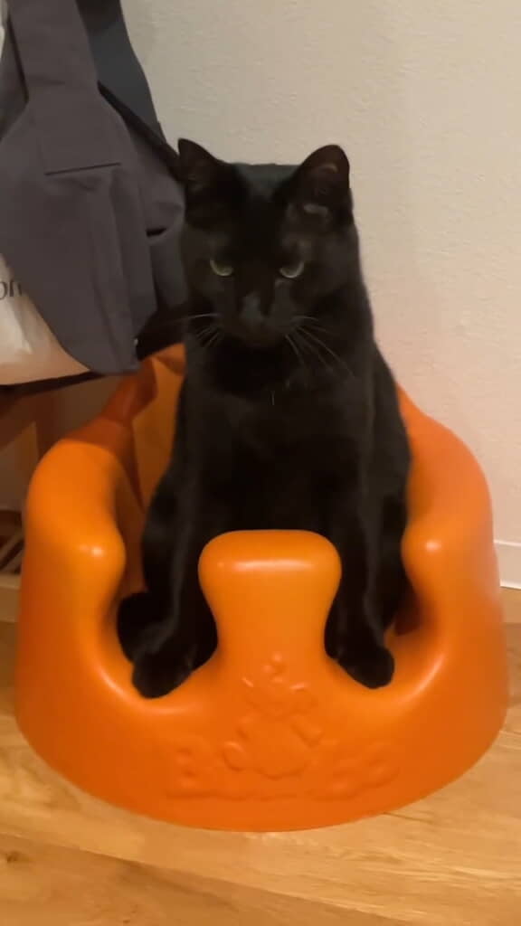 降りる気配はありません