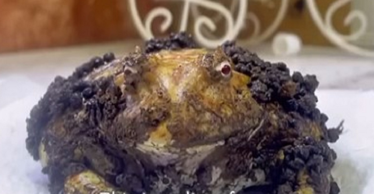 謎の黒い物体で汚れたカエル→洗ってみたら……　「まさか」「初めて見た」笑っちゃうほど驚く“大変貌”に反響（1/3） | その他生き物 ねとらぼ