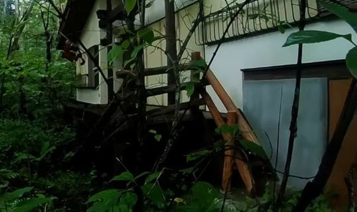 夫「人里離れたい」→山奥のカビまみれボロ家を50万で買って…… 5年後の“現在”に反響「ここまで仕上げたのは奇跡」(1/3) | ライフハック ねとらぼ