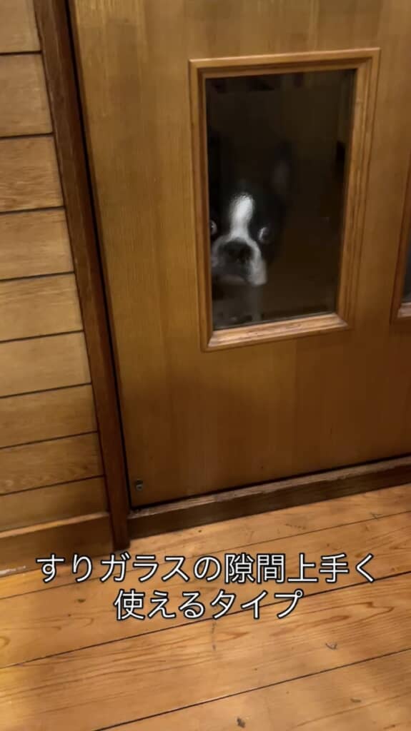 すりガラスの向こうにいるマルタくん