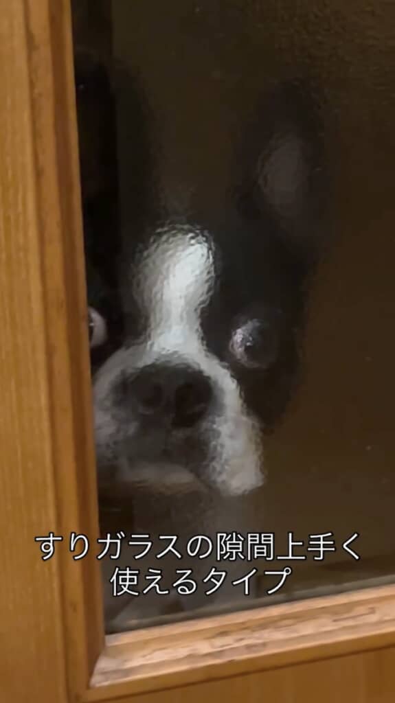 右目でしっかりこっちを見てた！