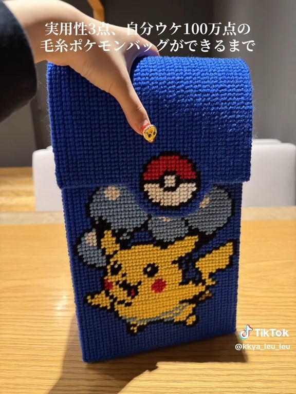 ポケモンのバッグに