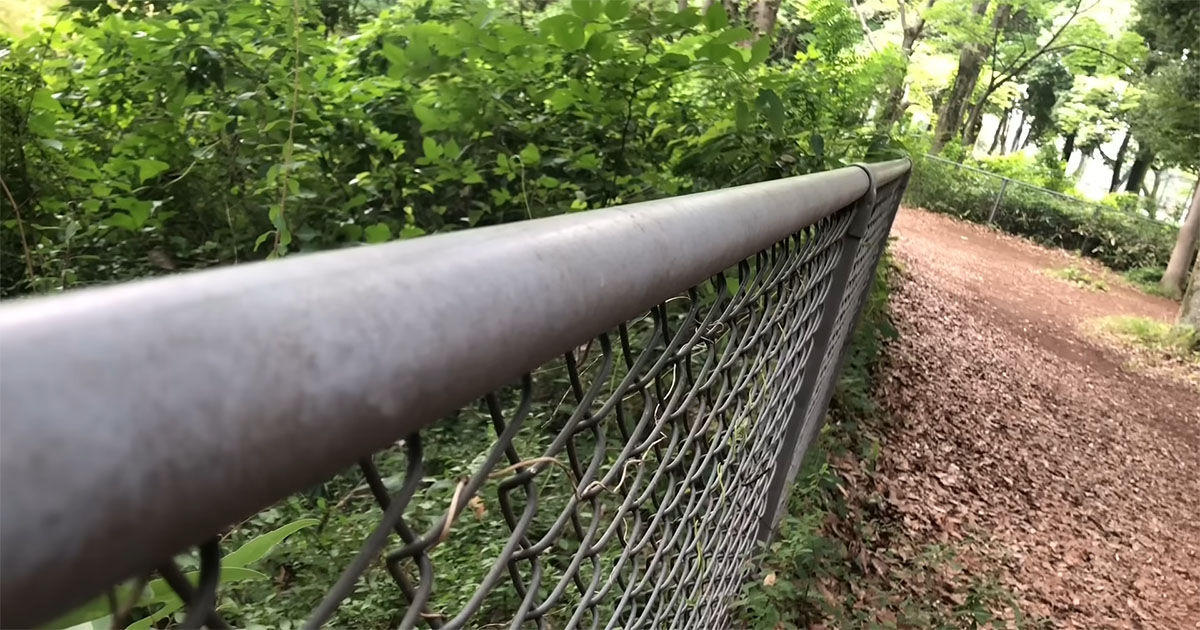 緑豊かな公園の手すり→よく見ると……　トコトコ歩く“小さな小さな生き物”に「まさか」「知りませんでした」（1/3） | その他生き物 ねとらぼ