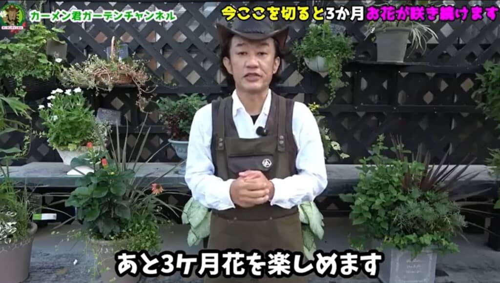 1年草のお手入れについて話すカーメンさん