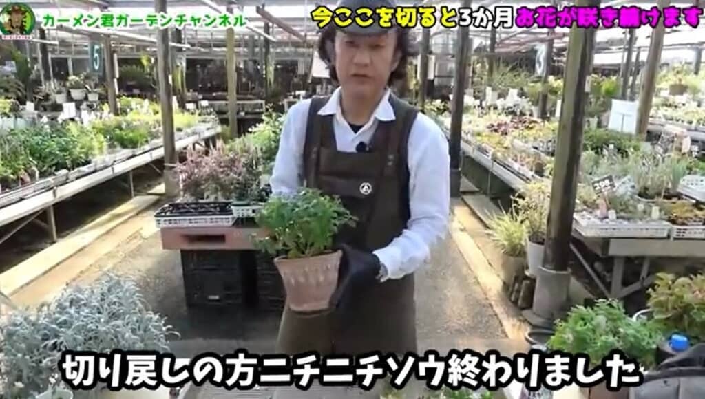 切り戻しが終わりました