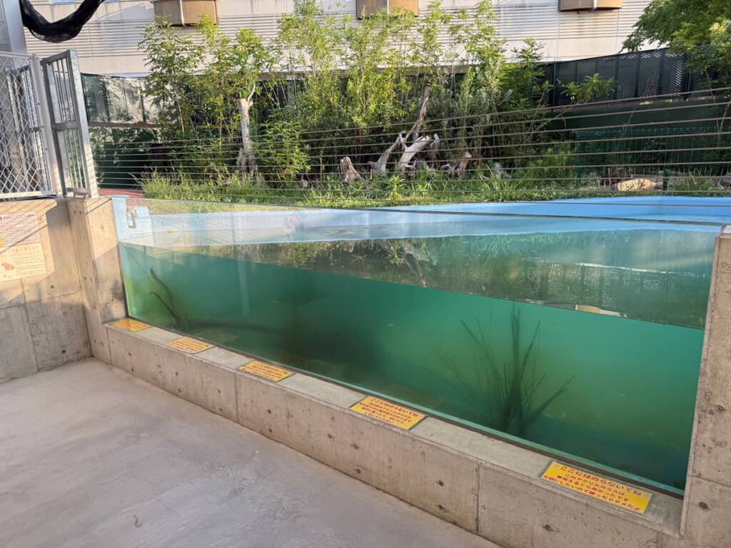 竹島水族館のカピバラエリアの水槽