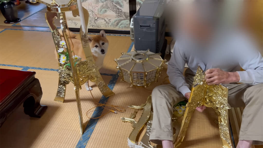 ひまりちゃんは興味があるのかな……？