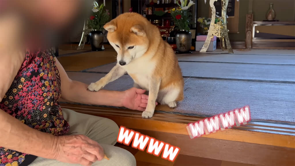 ママもばあちゃんも思わず笑顔に