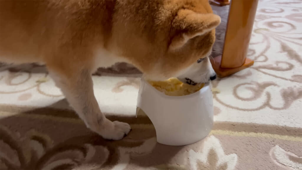 マロン先輩の大好きなパンケーキがひょっこりと出てきました