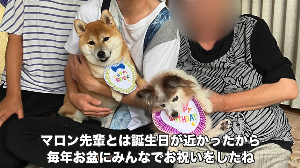 お盆はみんなで誕生日を祝っていました