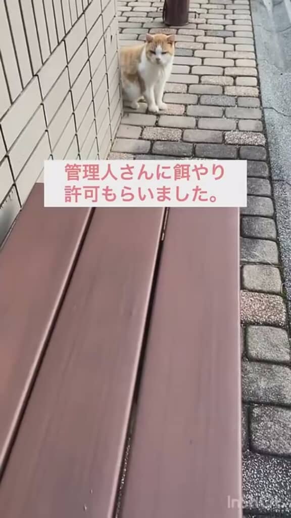 管理人に許可をもらって……