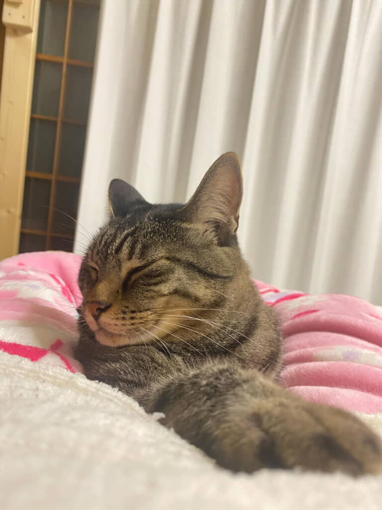 ちゃんと寝てくれました