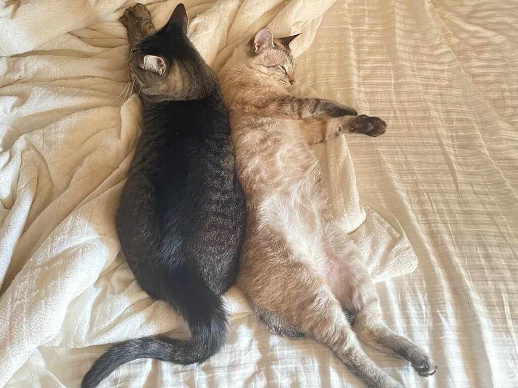 とっても仲良し