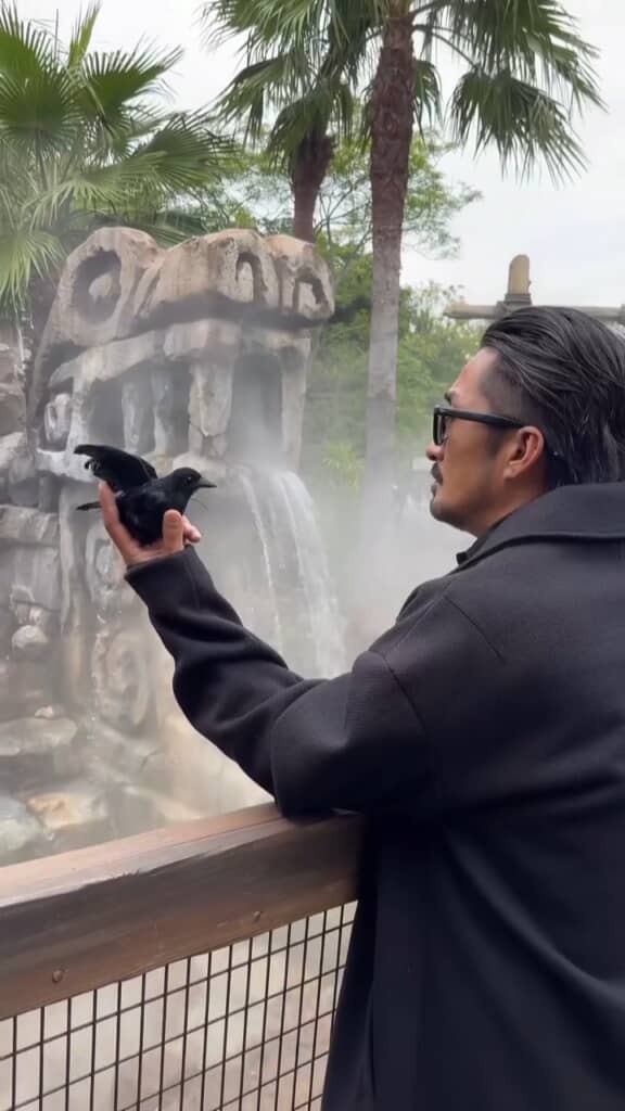 カラスのディアヴァルも登場⁉