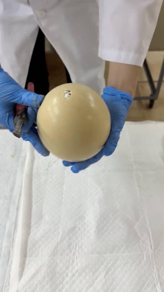 予定日になってもふ化しない卵