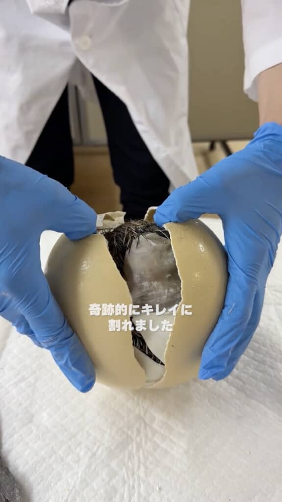 今回はきれいに割れました