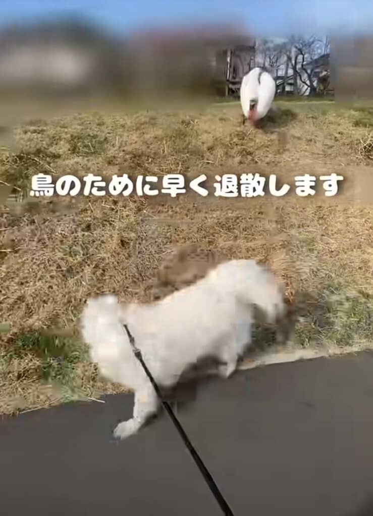 トラブルを避けるため、足早にその場を退散