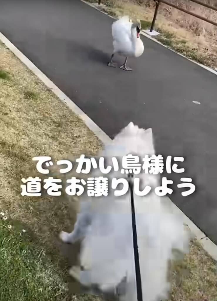なんとか大ピンチを乗り越えます