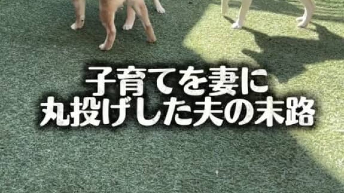 子育てを妻に丸投げした夫、現在は……「いやぁ～～っ」　“夫妻の関係性”に笑い「昭和のお父さんみたい」「犬も人間と同じw」（1/2） | 犬 ねとらぼ