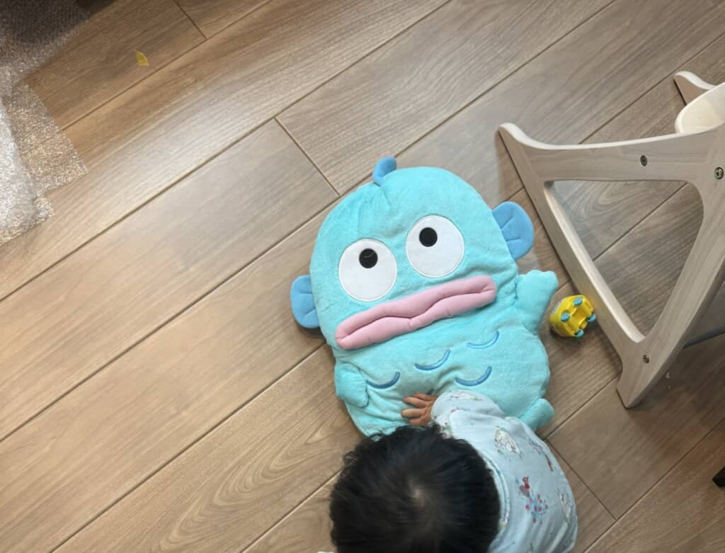 ハンギョドンのぬいぐるみを持っている娘