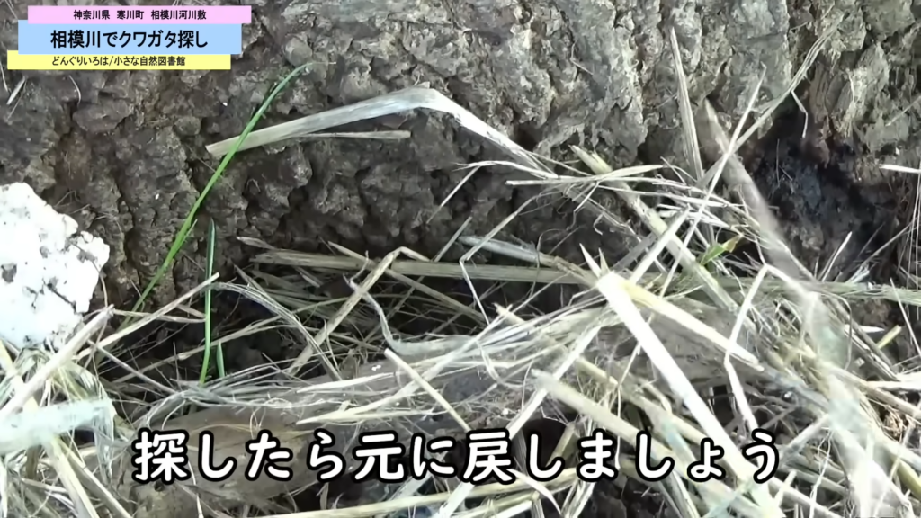 根元を探したら、必ず元に戻してくださいね