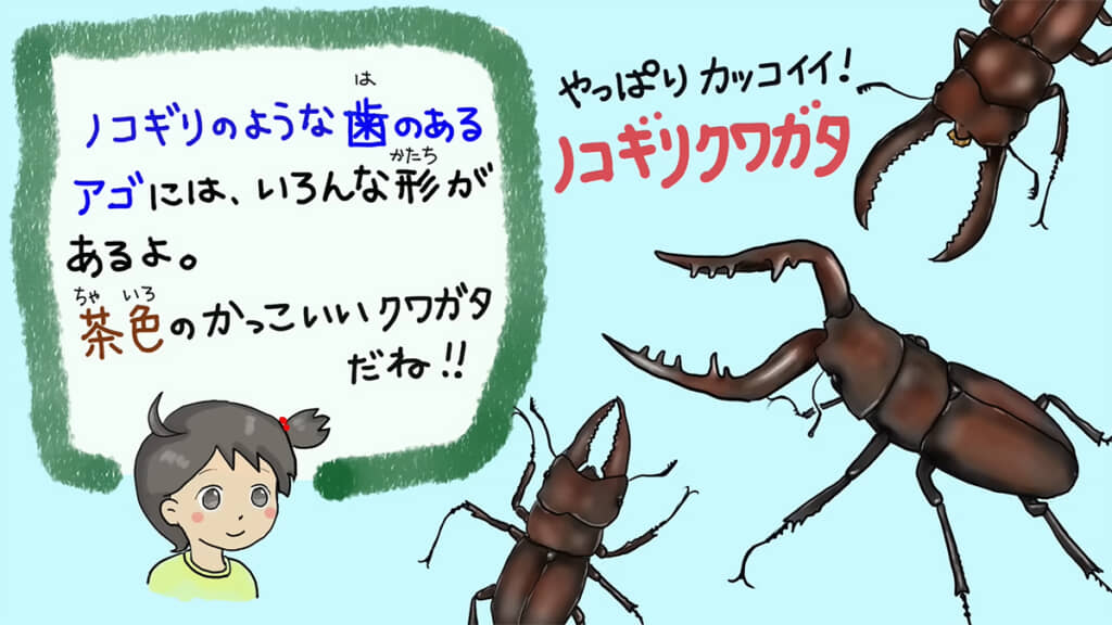 ノコギリクワガタはやっぱりカッコいい！