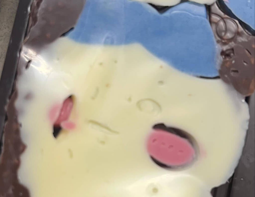 まるでバトル漫画でボロボロになるまで戦ったキャラみたいな見た目に……（画像提供：ちぃままさん／@chiimama_family_essei）