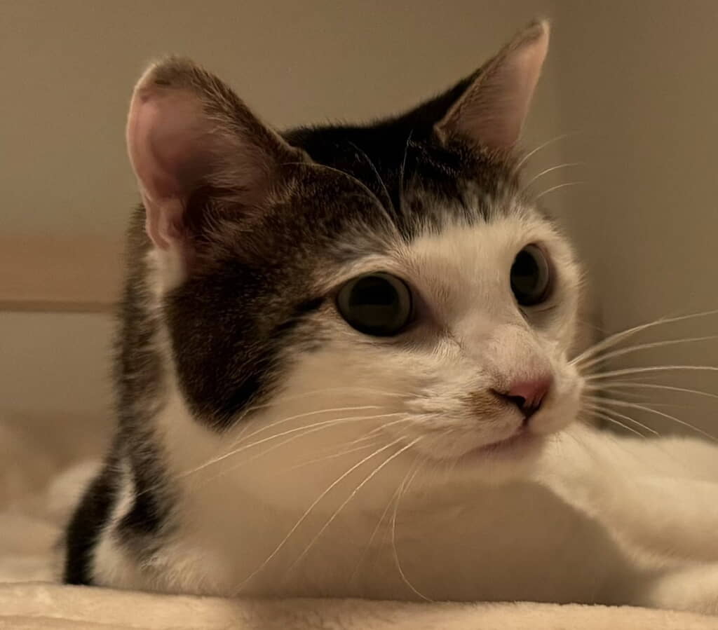 もっとパッツンになったセロイくんもやっぱりかわいい～！