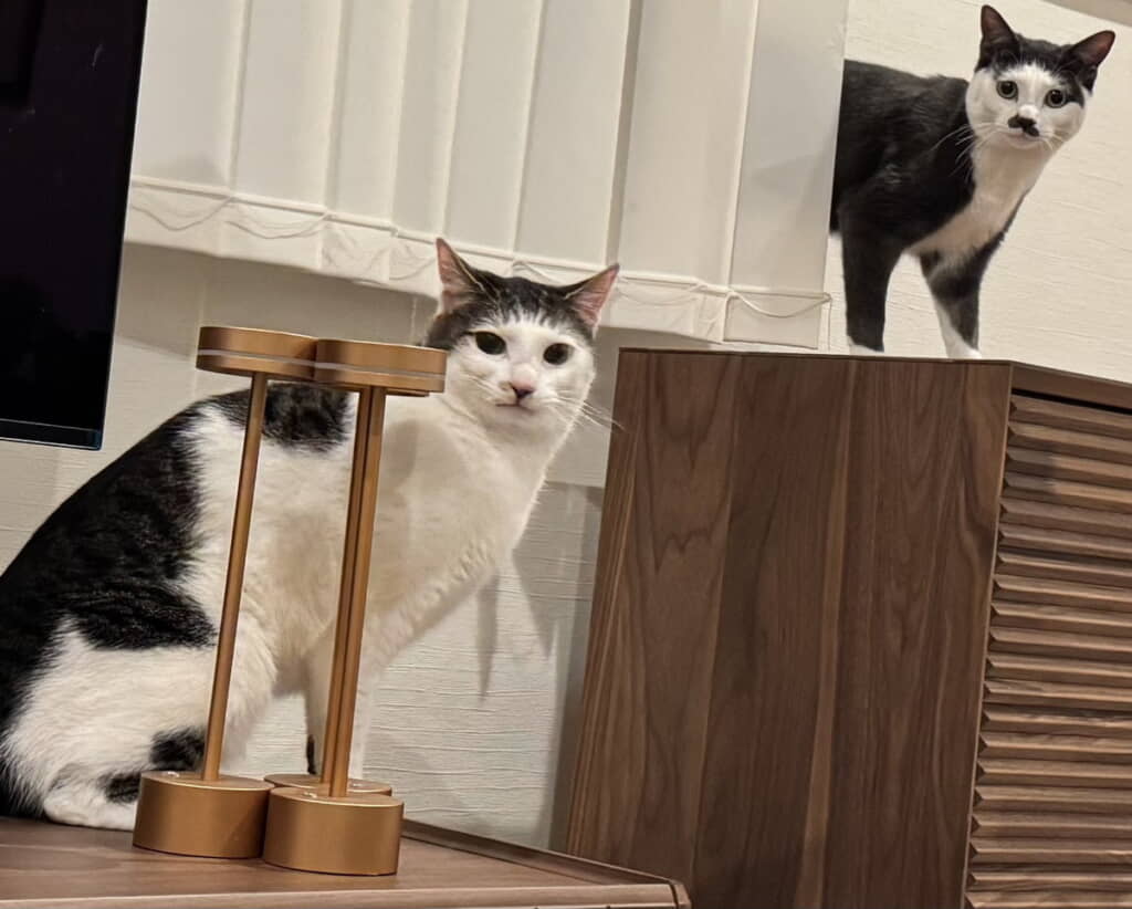 パッツン兄弟参上！