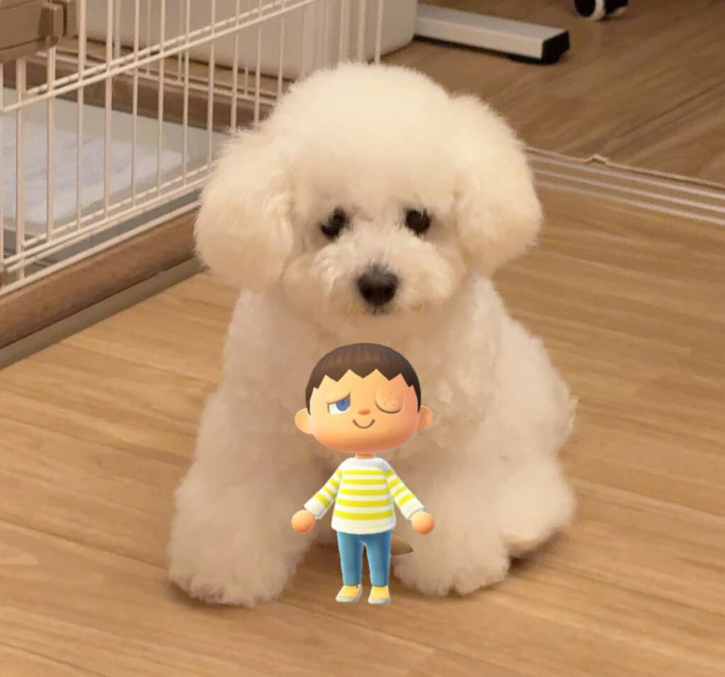 アポちゃんのビフォー