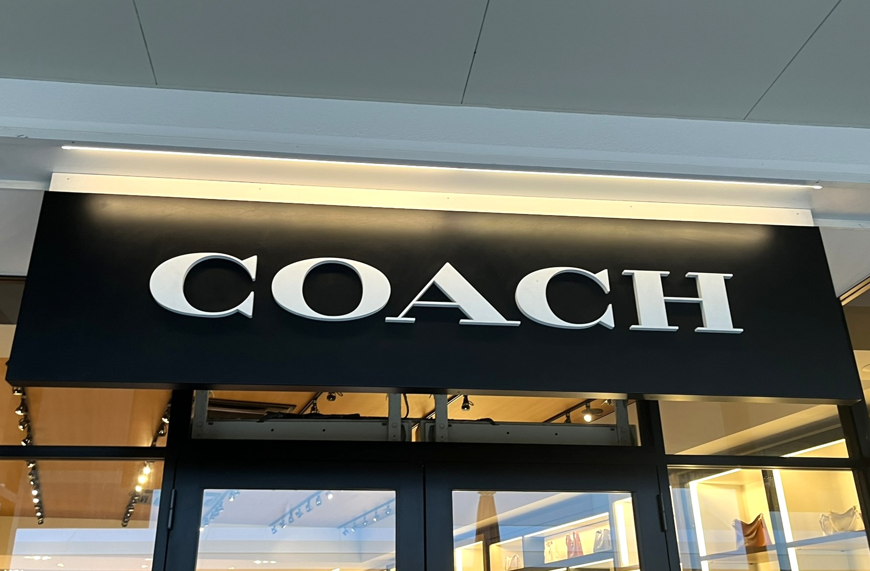 もう1つ欲しくなる」COACH（コーチ）の“大人かごバッグ”に絶賛の声