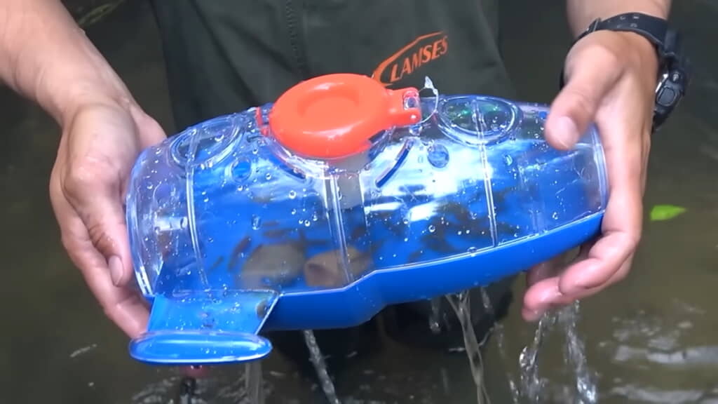 “ロケット”の中にもたくさんの小魚が！