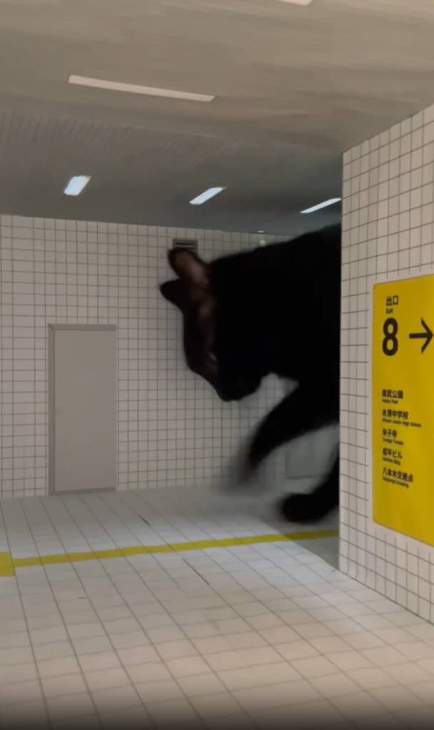 ホリホリホリホリ