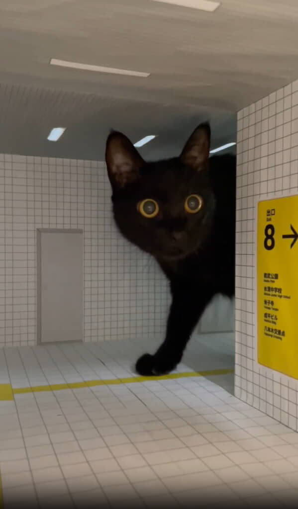 異変を発見したようです