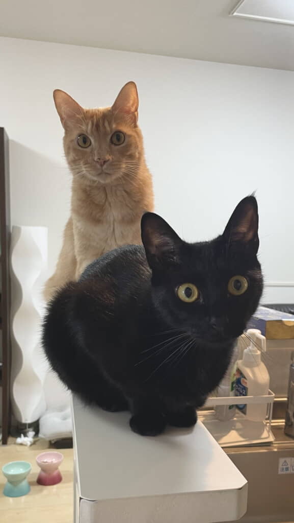 仲良しなふたり