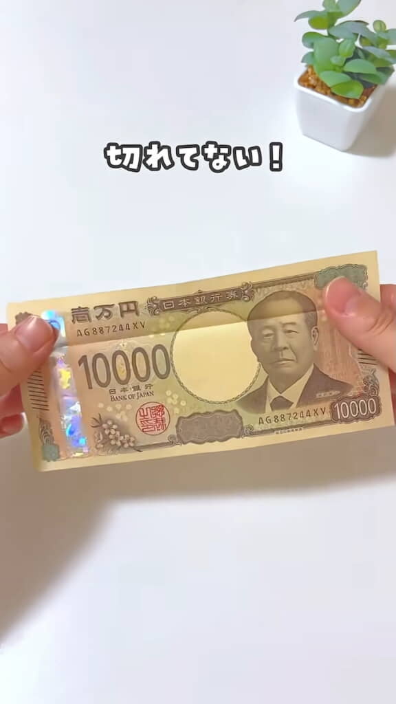 あれっ、破れてない！