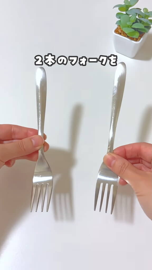 実はフォークは2本を重ねている