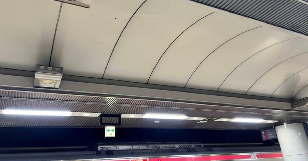 東京駅ホームの天井を見上げると……　ディズニー好き大興奮“夢のような光景”に「知らなかったァァァ」「鳥肌立っちゃった……」（1/2） | 電車 ねとらぼ