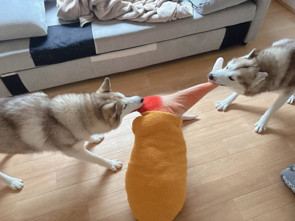 カニ爪のぬいぐるみを取り合うふたり