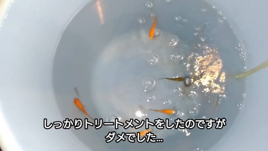 3日でかなり減ってしまった……