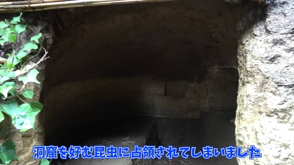 自宅の洞窟に住み着いたカマドウマでラーメンを作る人