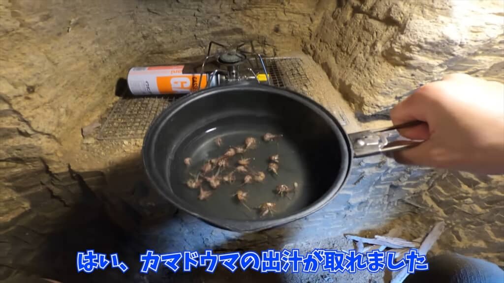 自宅の洞窟に住み着いたカマドウマでラーメンを作る人