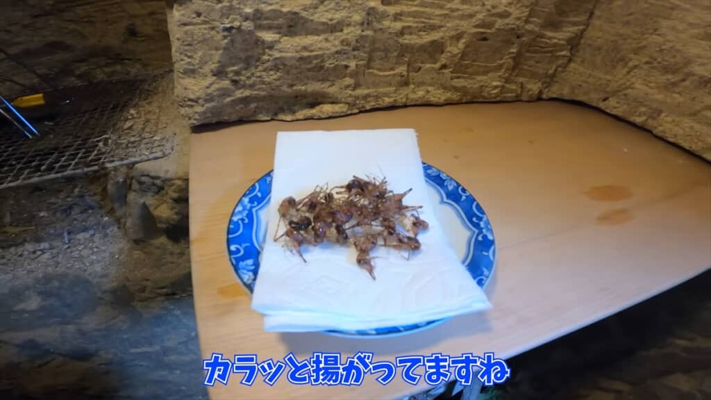 自宅の洞窟に住み着いたカマドウマでラーメンを作る人