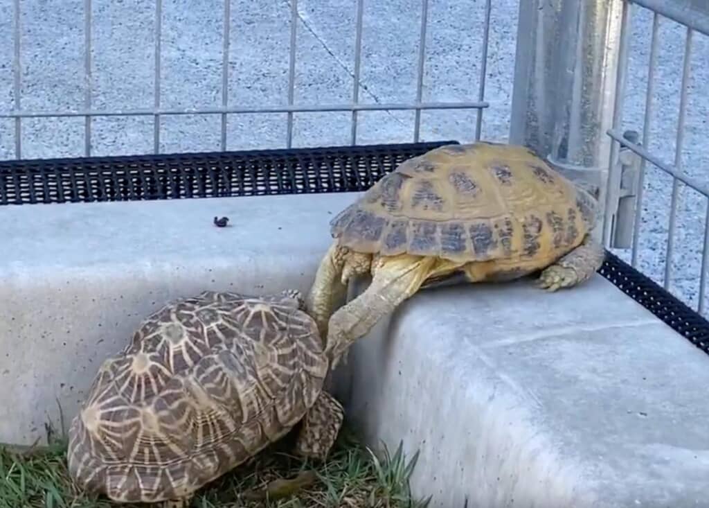 段差を登ることができました