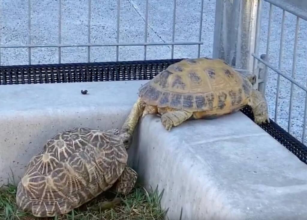 これ以上進めなくて脱出失敗……？