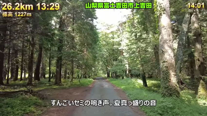 セミの鳴き声を聞きながら富士山を下りる