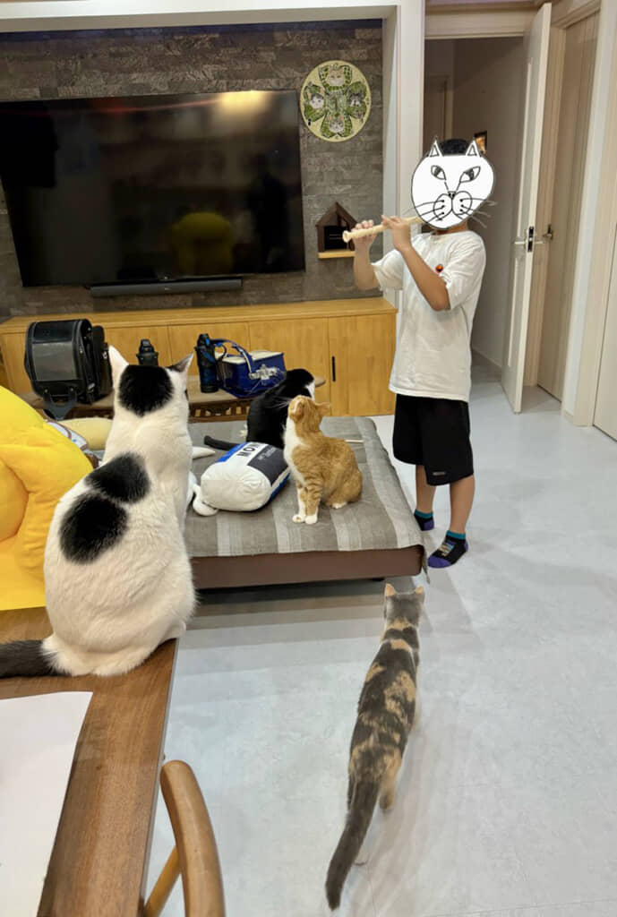 まるで絵本の世界